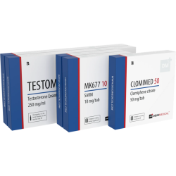 BULKING STACK FOR BEGINNERS